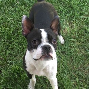 Meet your Posher, Brian